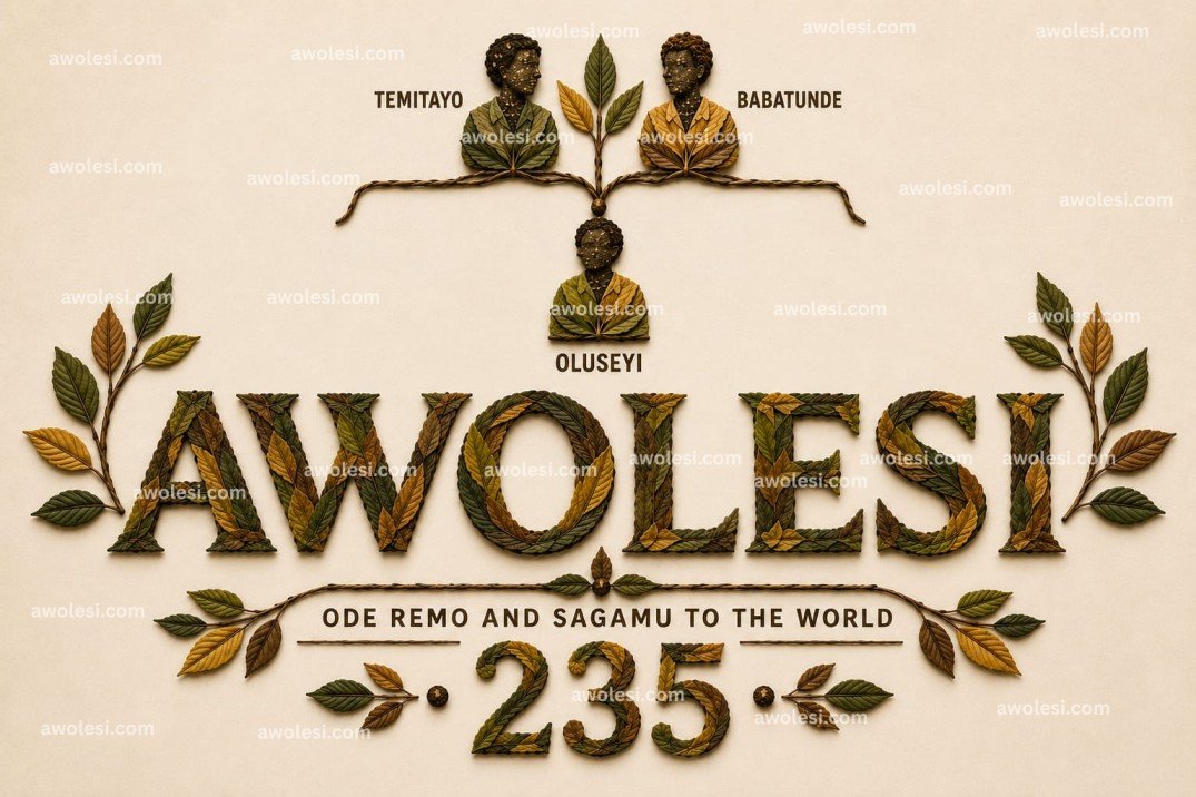 Oluwaseyi Oluwagbenga Adetokunbo Olanrewaju Awolesi